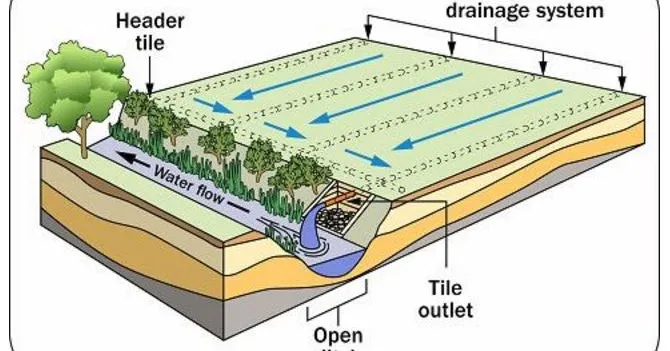 Drainage System